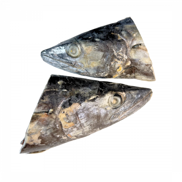 KEPALA TENGGIRI FROZEN